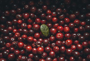 From Cranberries to Sweet Potatoes: Holiday Foods That Benefit Baby