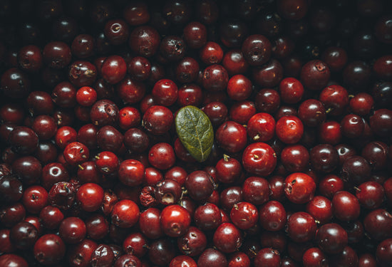 From Cranberries to Sweet Potatoes: Holiday Foods That Benefit Baby