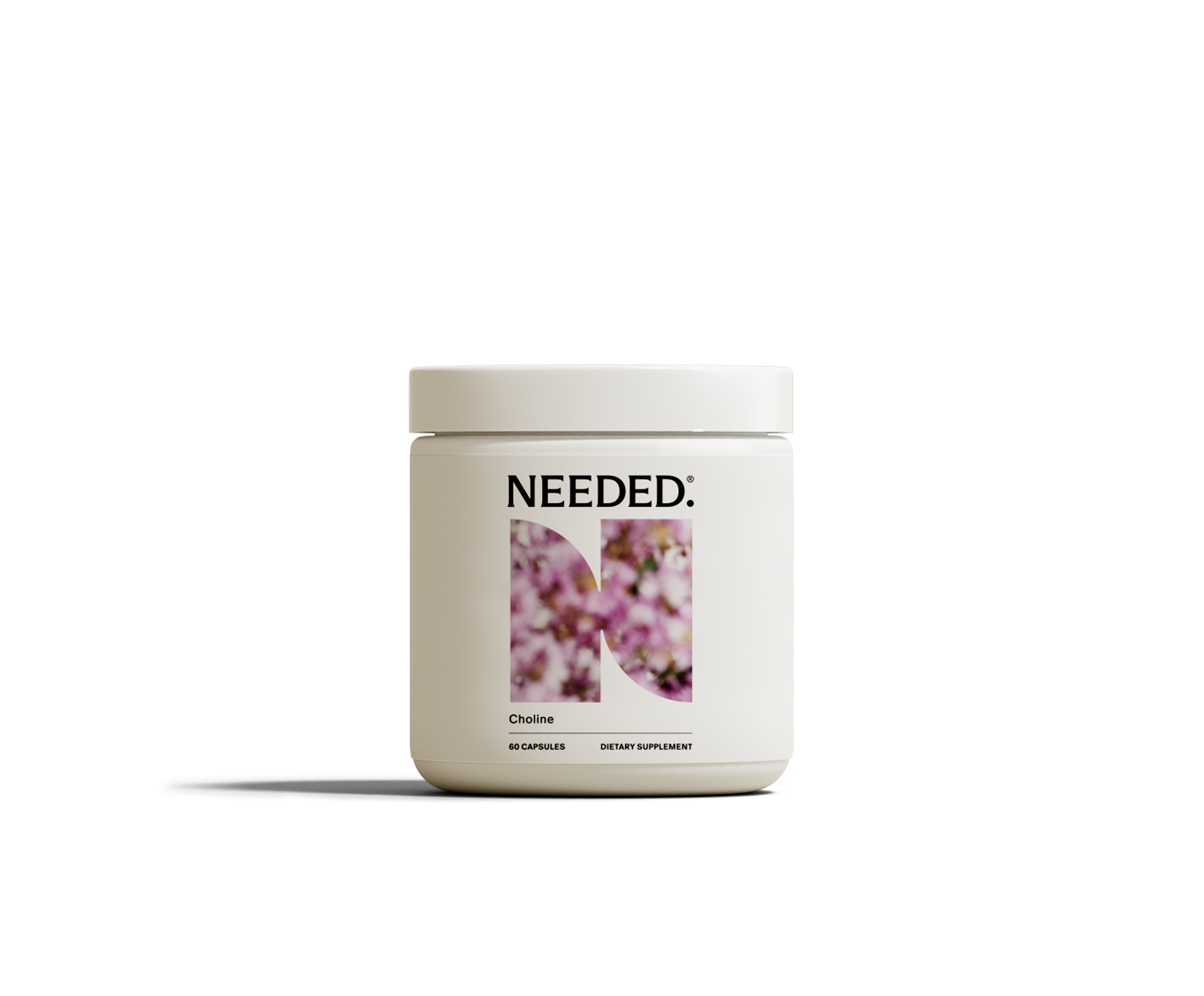 Prenatal Choline