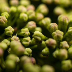 Blog Image for 