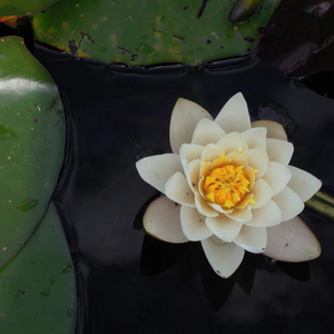 Blog Image for 