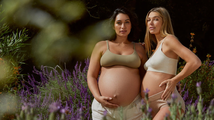 Pregnancy Due Date Calculator 